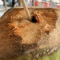 Coco  #Veganuary at Matcha Mama - Centro in Tulum