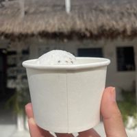 El helado de coco más delicioso   at Matcha Mama - Centro in Tulum