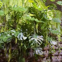  at Cinnamon in Sitges