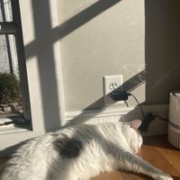   at Gem City Catfe in Dayton