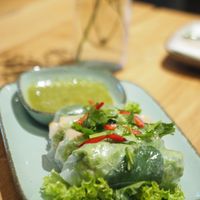 Fresh Summer Rolls with cilantro sauce at All Reis in Vienna