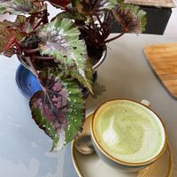 Matcha latte 🍵 #Veganuary at Jivamukti Yoga Paris in Paris