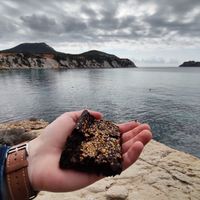 Vegan brownie ToGo at Sa Gulita in Ibiza