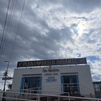   at Sa Gulita in Ibiza