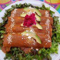 Mole! at Vegan21 in San Miguel De Allende