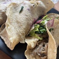 Seta tacos (no veggies, salsa—nada 😒)  at Vegan21 in San Miguel De Allende