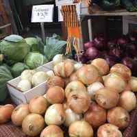 Cabbage and onions  at Burton Floral & Garden in Burton