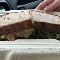 The California hiding out in the container at Vida's Plant Based Butcher in Columbus