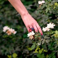 Rutenberg at Rutenberg in Gesher