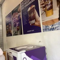 Oakberry wall   at Oakberry in Manly