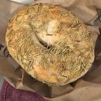 Rosemary bagel at Bialy's Bagels in University Heights