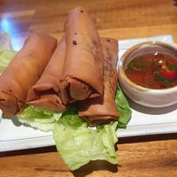 Vegan spring rolls at Dr Mauve Bar & Lounge in Bright
