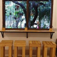 Counter bar with garden view at Veggie Lover Cafe in Vientiane