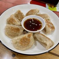 Gyoza  at Veggie Lover Cafe in Vientiane