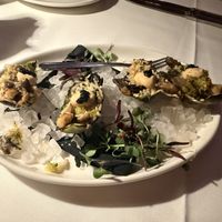 Oysters  at Kres Chophouse in Orlando