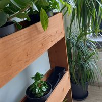  at Kraut & Rüben in Koblenz