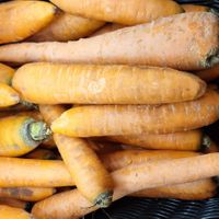  at South Philly Food Co-op in Philadelphia