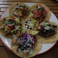 Mix vegan tacos at Taqueria La Lupe in Sevilla