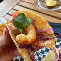   at Taqueria La Lupe in Sevilla