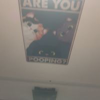 Toilet - 8/10 at Linh - Not Just A Restaurant in Prague