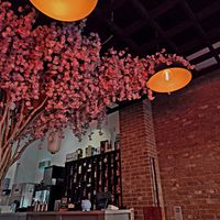  at Sushi Me Rollin' in Newcastle Upon Tyne