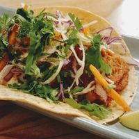 Jack fruit taco at Bay City Burrito in Hawthorn