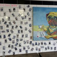   at Cafe Napoleon in Warners Bay