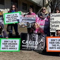 Shrine Circus Protest at Animal Rights Coalition in Minneapolis