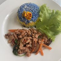   at Began Vegan in Bangkok