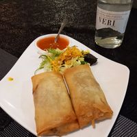 Spring rolls for starter at Sawadika in Zaragoza