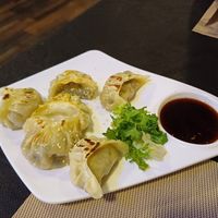 Vegan gyoza's at Sawadika in Zaragoza