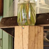  at Caspar Plautz in Munich