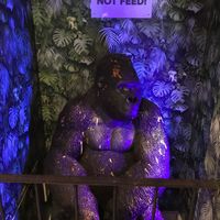 Interior  at Seven Sundays in Hannover