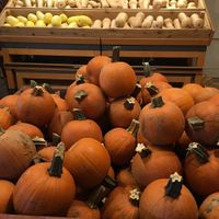 Pumpkin at Beckwith Orchards Cider Mill in Kent