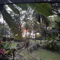   at Ylang Ylang Beach Resort Restaurant in Montezuma