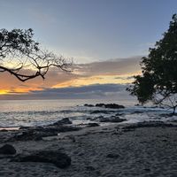   at Ylang Ylang Beach Resort Restaurant in Montezuma