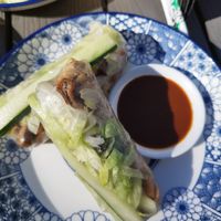 Summerrolls tofu at Kaoo in Vienna