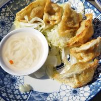 Dumplings at Kaoo in Vienna