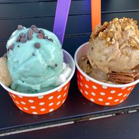 Vegan Mint Chocolate Chip with vegan marshmallows and Enjoy Life chocolate chips and Vegan Pumpkin Spice with pumpkin granola and pecans 

Sooooo good!! at iFreeze Creamery - 15 Mile in Royal Oak