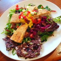 The Stack at Kombucha Cafe in Murwillumbah