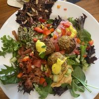 Falafel bowl  at Kombucha Cafe in Murwillumbah