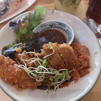 Crispy vegan duck at Well Being in Cologne