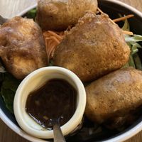   at Well Being in Cologne