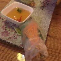 Delicious rice paper spring rolls at Well Being in Cologne