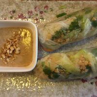 Summer roll at Well Being in Cologne