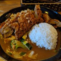 Vegan Duck with vegetables and rice (peanut soy sauce) at Well Being in Cologne