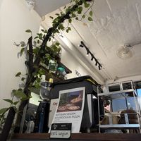   at Zeroism - Vegan Café & bakery in Ho Chi Minh City