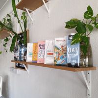 All the m*lk options (and some of the many pretty plants around the cafe).  at Luna Bean Cafe & Bakery in Nundah