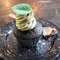 Aquarius cupcake at Café Contresort in Paris