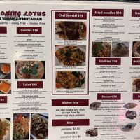 Dine in menu  at Blossoming Lotus in Surfers Paradise